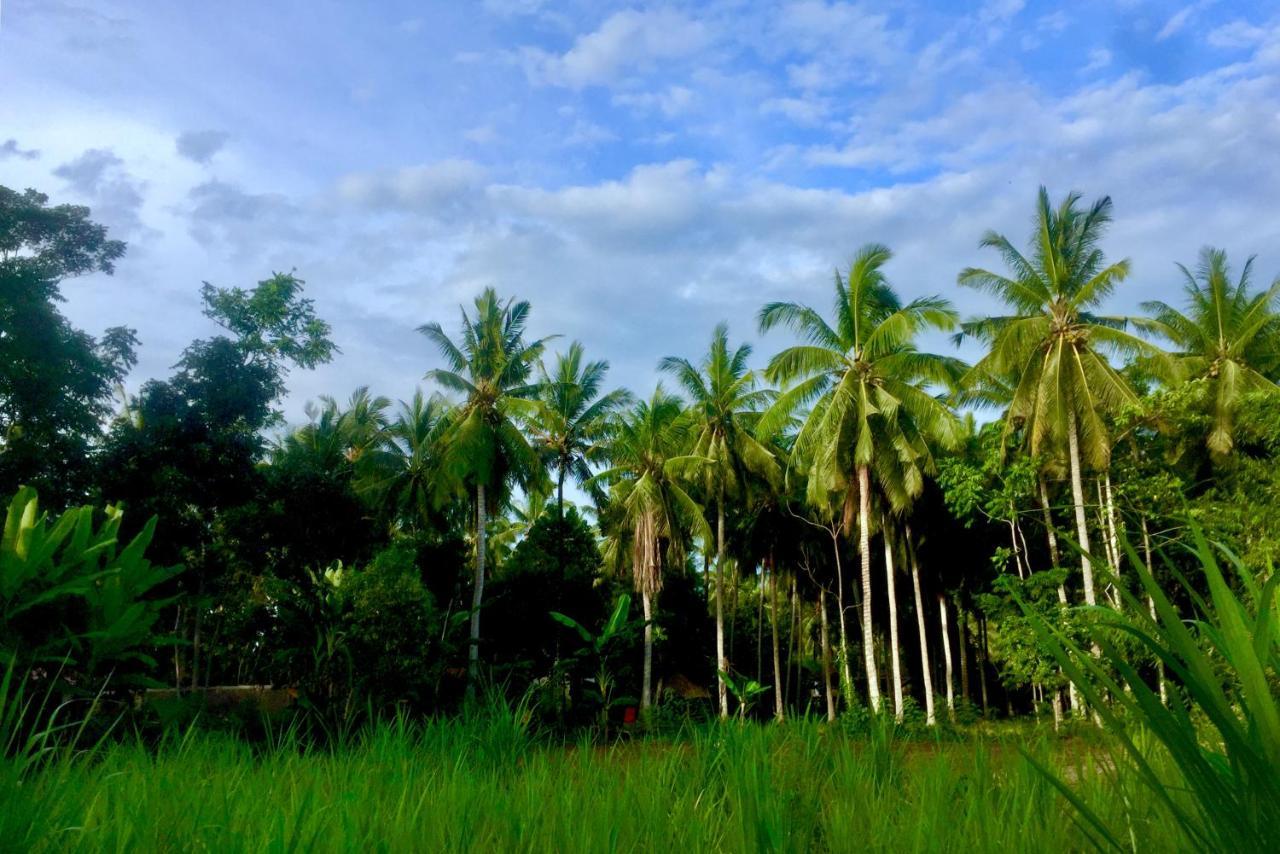 Chemel Homestay Kuta  Kültér fotó