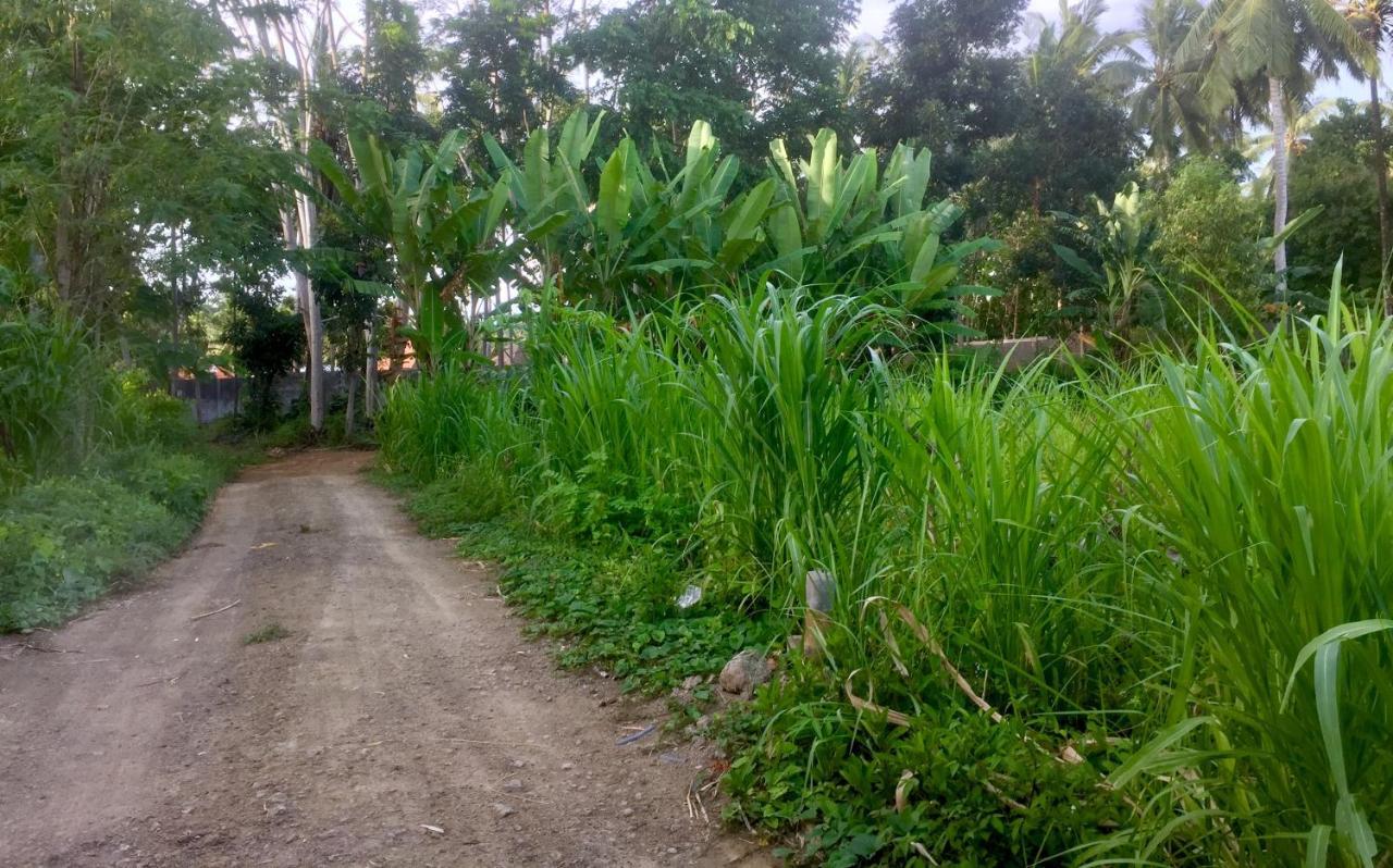Chemel Homestay Kuta  Kültér fotó